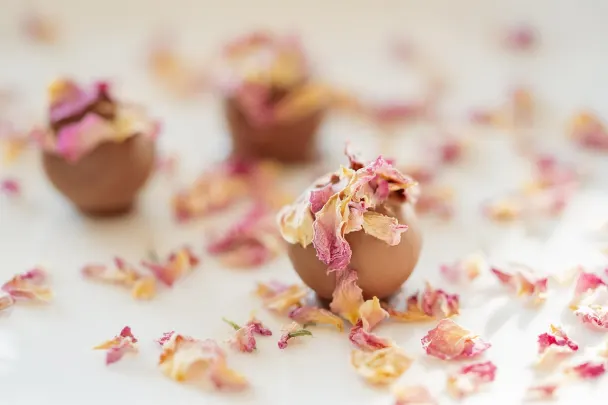 Casino Generation VIP Android/iOS aplikacija